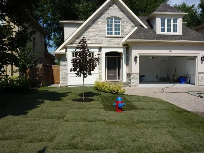 Landscaping (2)